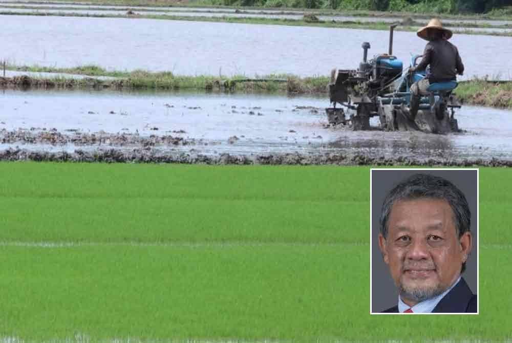 Pelan Pembangunan Kedah 2035 fokus pelaksanaan estet padi bagi memastikan penghasilannya lebih efisien. Gambar kecil: Dzowahir