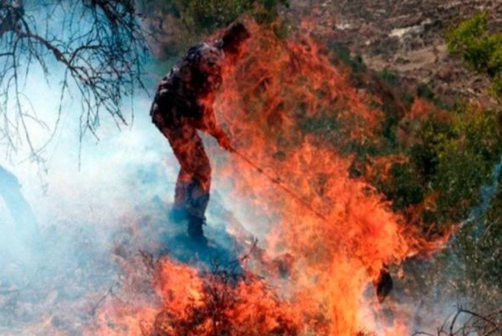 Peneroka haram Yahudi bertindak biadab apabila membakar puluhan pokok zaitun milik petani Palestin.