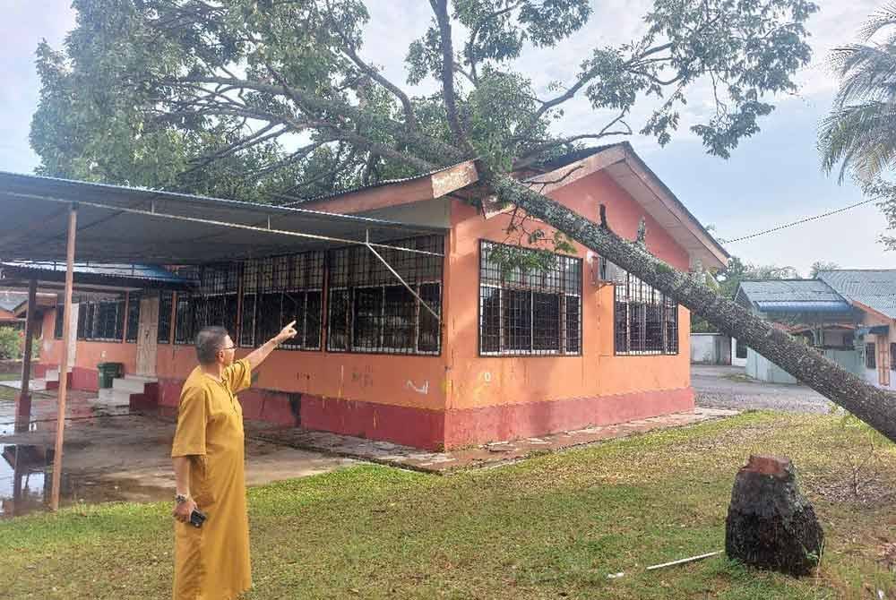 Pokok tumbang menghempap rumah penduduk di Kemaman. Foto Facebook Haji Hanafiah Mat