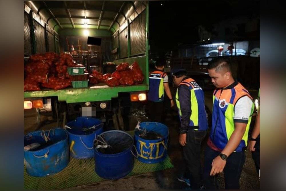 Tindakan khas ini dilaksanakan DBKL melalui Jabatan Penguatkuasaan dan Jabatan Kejuruteraan Mekanikal dan Elektrikal.