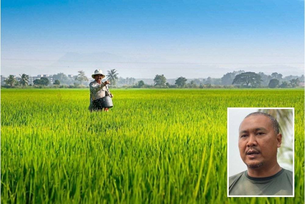 PeSAWAH cadang agar diwujudkan segera model baharu dalam pengagihan dan pembekalan baja. Gambar kecil: Abdul Rashid