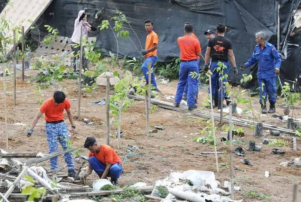 Aktiviti penanaman pokok hutan pelbagai spesies di kawasan hutan simpan diceroboh sempena Kempen Penghijauan Malaysia pemulihan semula kawasan teroka Hutan Simpan Sungai Ichat dan Hutan Simpan Batu Gangan di Cameron Highlands, baru-baru ini. Foto FB JPNP