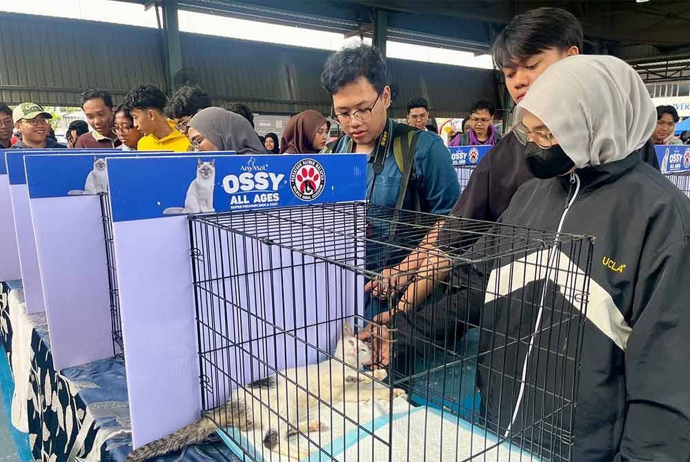 Penuntut UPTM melihat kucing terbiar sempena pameran foto di UPTM.