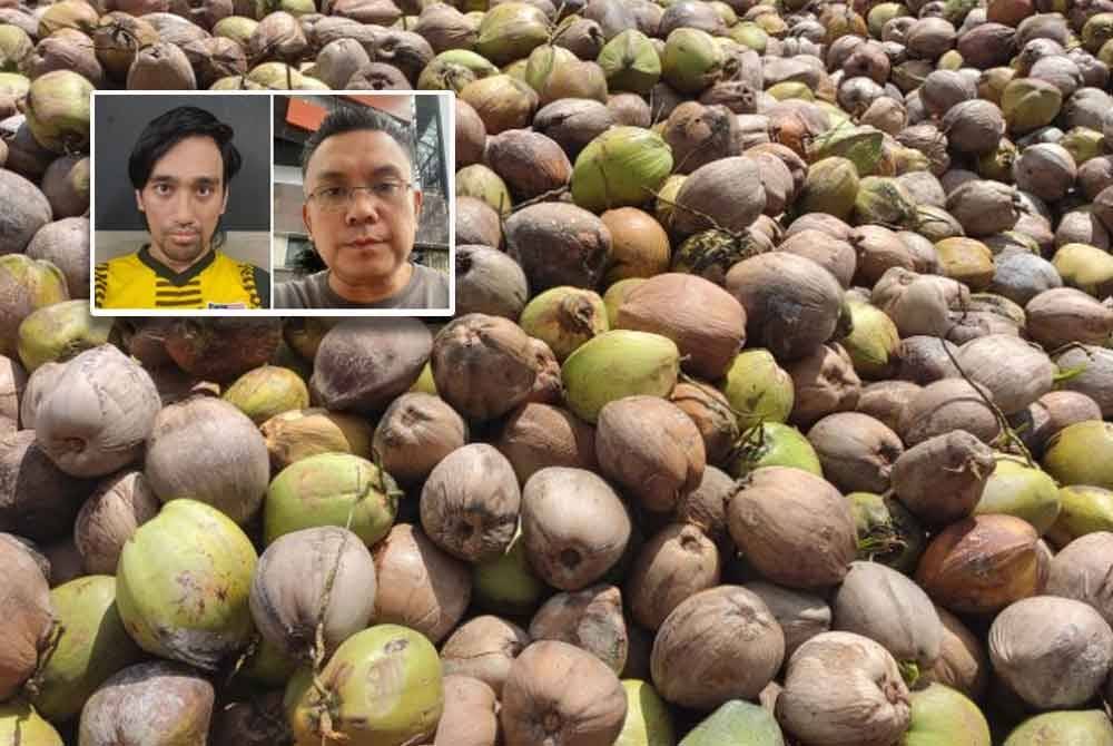 Peniaga tempatan hadapi masalah bekalan kelapa selepas kelapa import Indonesia untuk kegunaan tempatan dibawa ke pasaran selatan Thailand. Gambar kecil: Mohd Hafiz dan Mohd Erwan