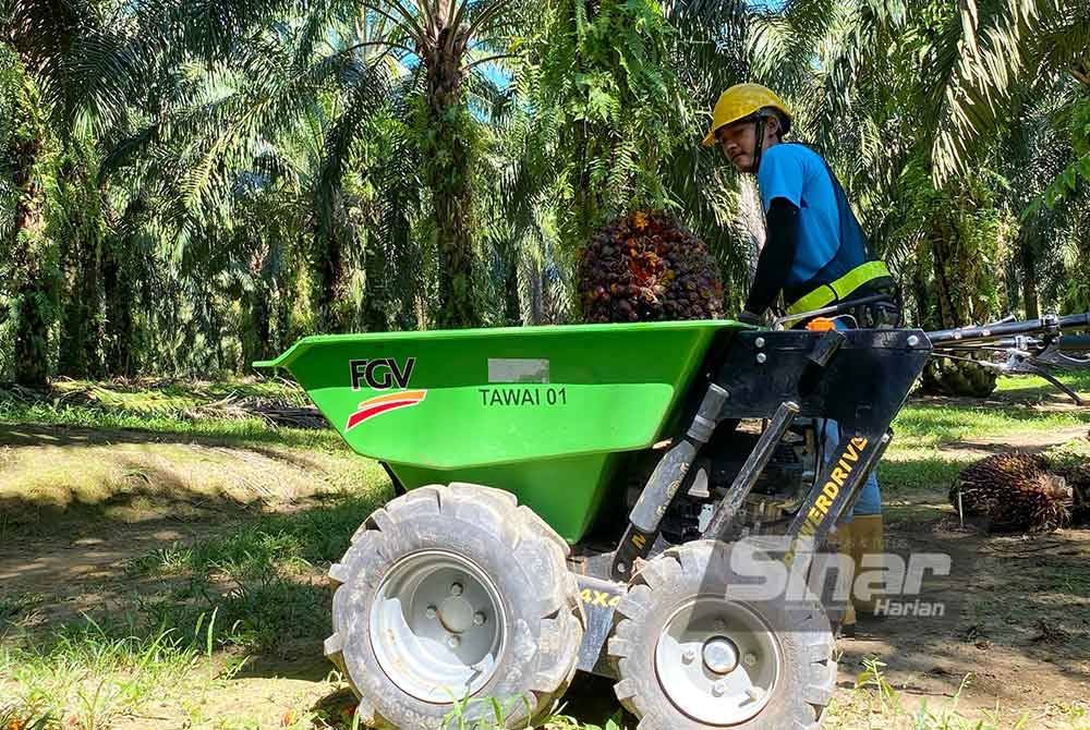 Teknologi &#039;Power Barrow Engine&#039; yang kini digunakan untuk mengumpul tandan kelapa sawit sebelum ditukar kepada &#039;EV Power Barrow&#039; tidak lama lagi. FOTO SINAR HARIAN/ AISYAH BASARUDDIN