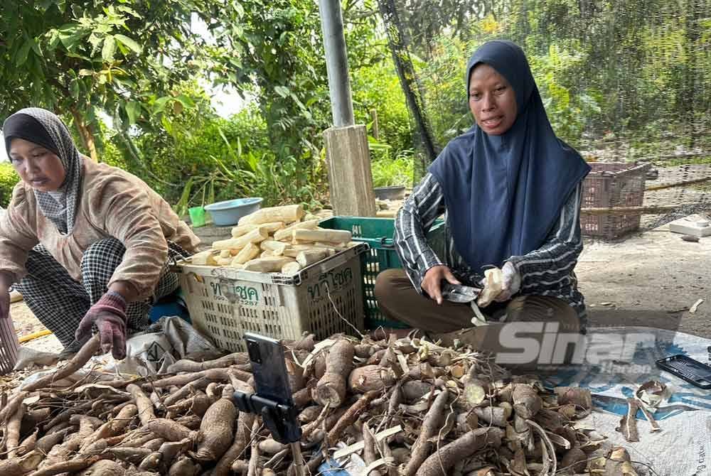 Siti Shafikah (kanan) yang membuat siaran langsung jualan debu putu halba secara dalam talian.