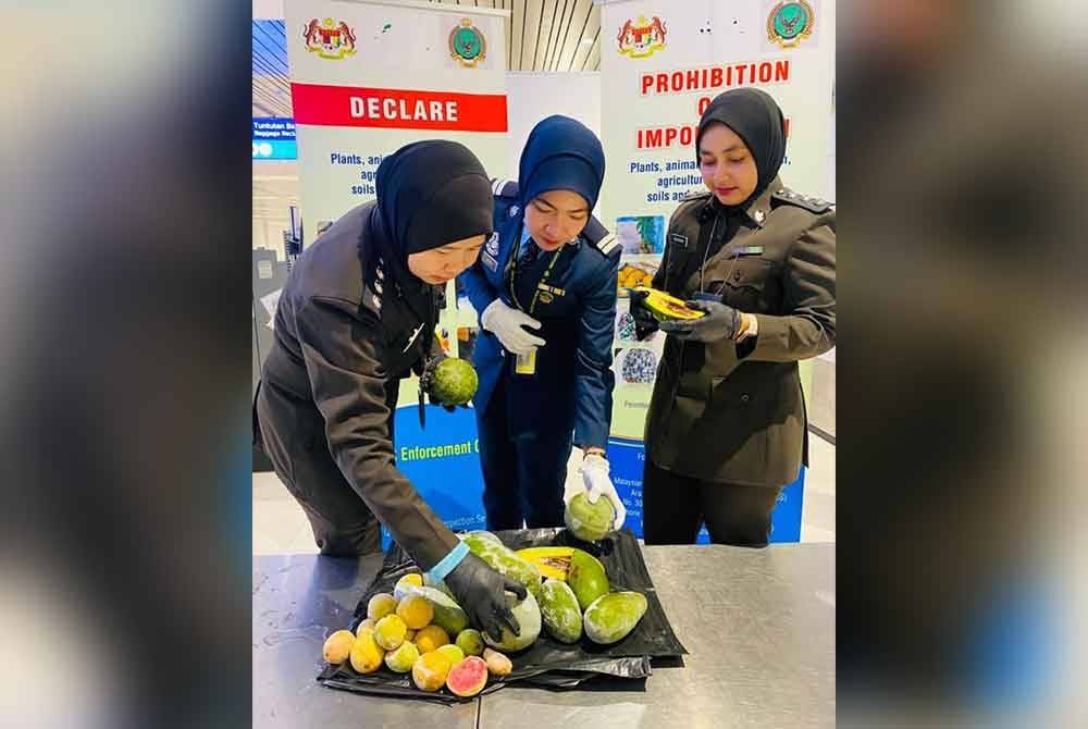 Avokado dan jambu batu yang dirampas daripada seorang wanita warga Indonesia