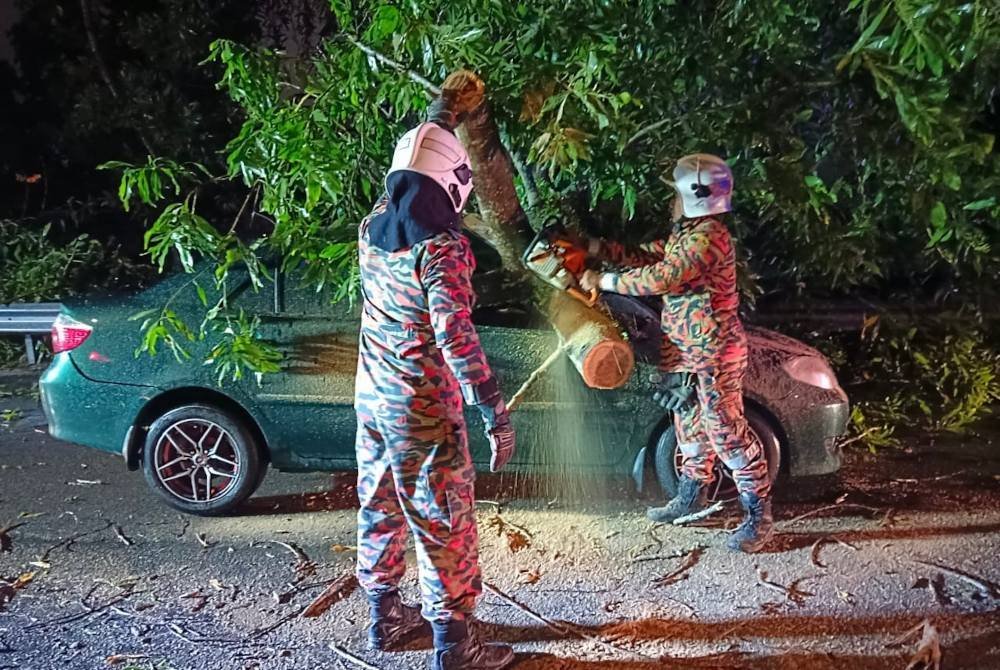 Anggota bomba sedang mengalihkan pokok tumbang yang menghempap kereta mangsa.