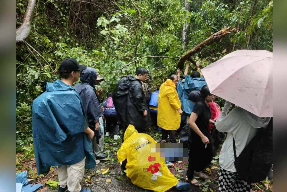 Seorang kakitangan wanita sebuah universiti parah ditimpa pokok tumbang di Bukit Kemuning Kijal, Chukai, di Kemaman, pagi Isnin.