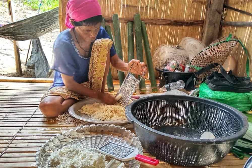 Wak Lin memarut ubi kayu yang telah direndam beberapa hari untuk dijadikan lemang ubi kayu busuk.