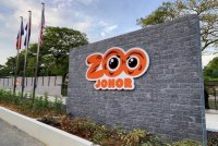 Zoo Johor merekodkan jumlah pengunjung seramai 500,000 sejak dibuka semula pada 31 Ogos lalu.