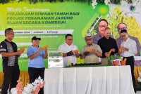 Hendrus (tiga dari kiri) dan Yahya (tiga dari kanan) menunjukkan jagung bijian yang ditanam secara komersial pada majlis menandatangani perjanjian dengan pemilik tanah di Tandek, Kota Marudu.