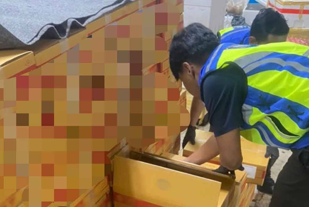 Anggota penguat kuasa MAQIS Kedah melakukan pemeriksaan ke atas keratan ayam sejuk beku di laluan kargo pintu masuk Bukit Kayu Hitam pada Selasa lepas. - Foto: MAQIS Kedah