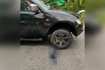 Kenderaan pacuan empat roda dipandu wanita warga asing yang dipercayai melanggar murid Tahun Satu di kawasan perumahan di Bukit Sentosa pada Khamis.