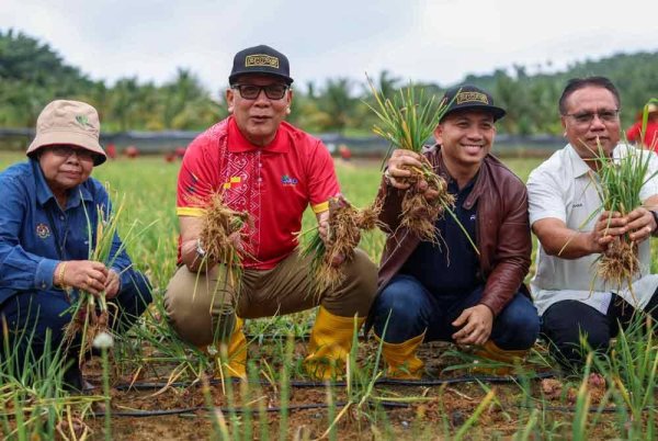 Exco Infrastruktur dan Pertanian Selangor Ir Izham Hashim (dua dari kiri) mencuba sendiri menuai bawang merah kecil ketika hadir pada Majlis Tuaian Fasa Pertama Projek Tanaman Bawang PKPS dengan kerjasama Kementerian Pertanian dan Keterjaminan Makanan (KPKM) di Selangor Fruit Valley di sini, pada Jumaat. Turut kelihatan Ketua Pegawai Eksekutif Kumpulan Perbadanan Kemajuan Pertanian Selangor (PKPS), Dr Mohamad Khairil Mohamad Razi (dua dari kanan). Foto Bernama