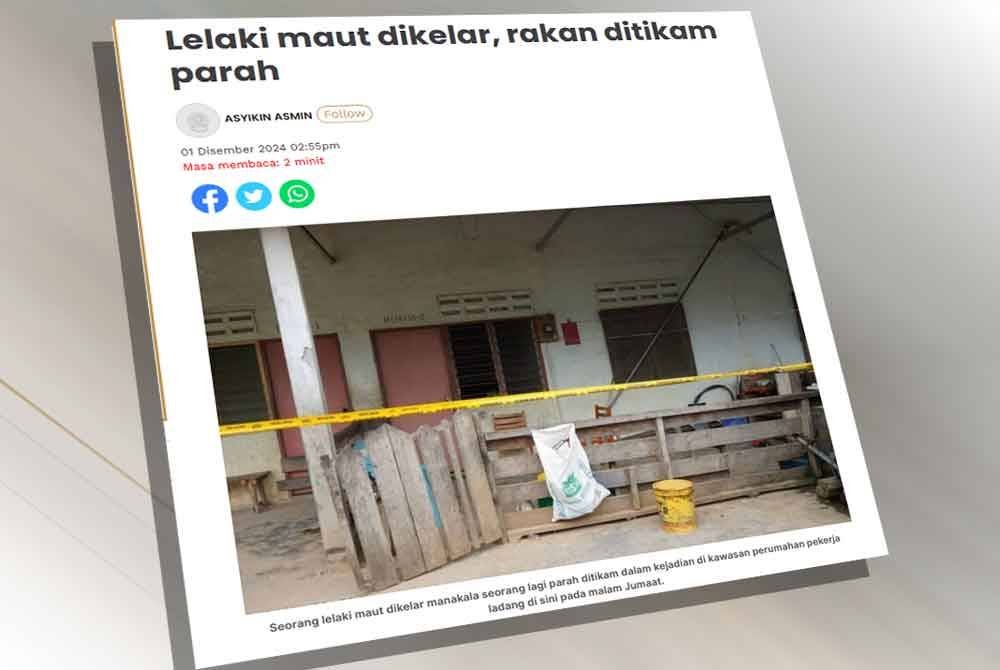 Lelaki yang diburu kerana mengelar leher seorang pekerja ladang sehingga mati dan menikam seorang lagi mangsa lain sehingga parah berjaya ditahan polis pada Isnin.