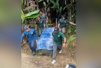 Perhilitan Negeri Sembilan berjaya menangkap seekor harimau kumbang jantan yang dipercayai berkeliaran di sekitar Kampung Peradong di sini, pada Selasa. Foto media sosial