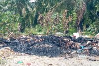 SAM gesa pihak berkaitan tangani isu tapak sampah haram di Jalan Kampung Tepi Sungai Kerian atau Jalan Dennis Town di Parit Buntar. Foto ihsan SAM