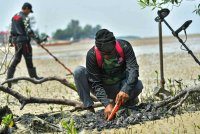 Aktiviti menjejak logam bagi mencari hasil barang-barang logam yang tertanam mampu menjana pendapatan lumayan. Foto Bernama