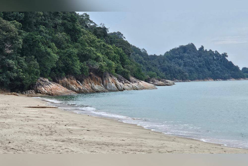 Seekor buaya tembaga berjaya dikesan di pantai peranginan Teluk Batik di Lumut.