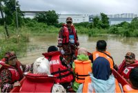 BENCANA banjir mengakibatkan kemusnahan harta benda dan tanaman selain mengorbankan ternakan serta nyawa insan yang tersayang. Foto Bernama