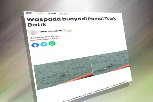 Laporan Sinar Harian mengenai penampakan buaya di Teluk Batik.