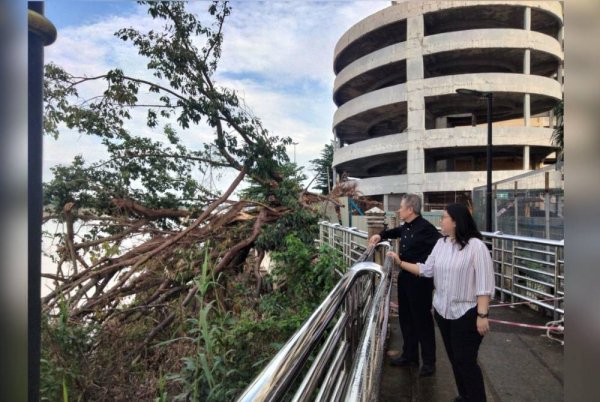 Gan Yeong Shuoh (kanan) melihat pokok yang tumbang di belakang Hotel Grand River View.