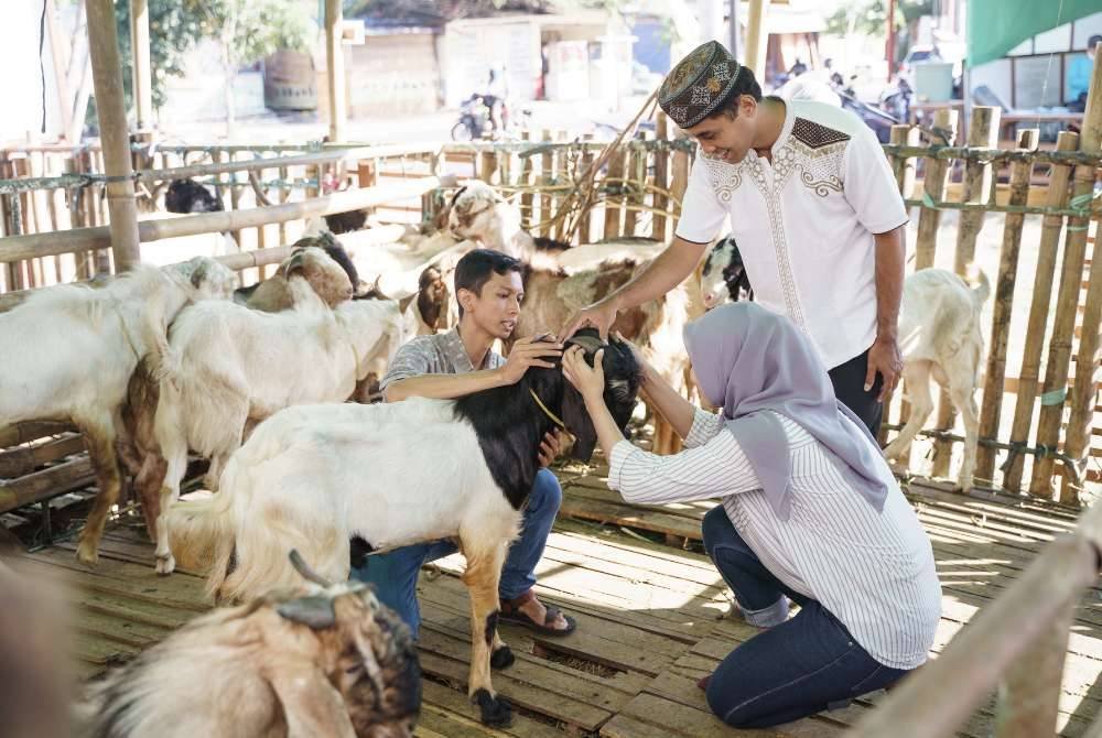 ALLAH SWT menciptakan ternakan untuk kemudahan manusia, tetapi tanggungjawab menjaga, memanfaatkan dan memeliharanya perlu dilaksanakan dengan teliti. -Foto: CANVA