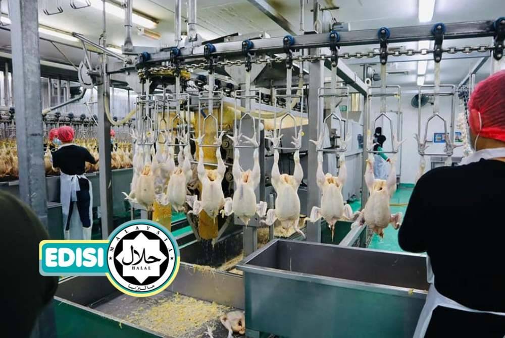 
ASPEK halalan toyyiban sangat dititikberatkan di Ayam Dr Zainol bermula peringkat penternakan, penyembelihan hingga ke pemprosesan. 