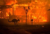 Penduduk di beberapa bandar di barat Melbourne, Australia diarahkan untuk segera berpindah berikutan kebakaran belukar yang semakin tidak terkawal. Foto Agensi