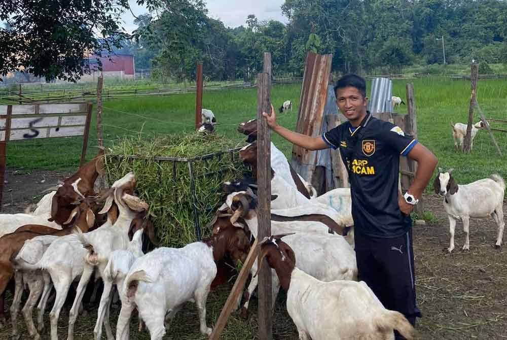 Muhamad Azrean bersama ternakan kambingnya.