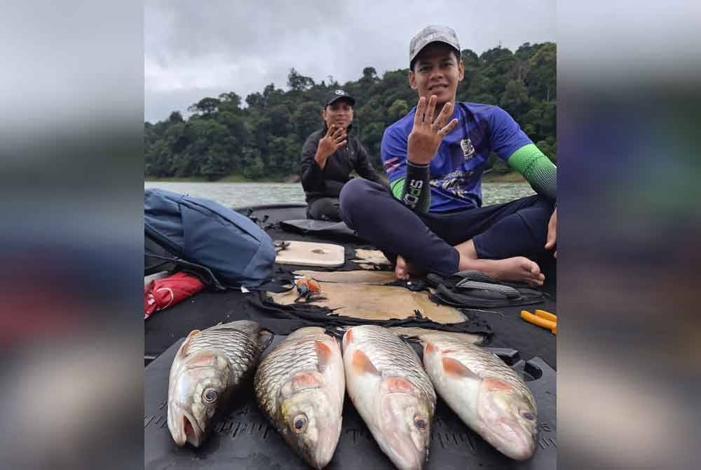 Ikan sebarau lebih jinak dan mudah memakan umpan ketika cuaca hujan. - Foto: Facebook MHMH Sport Fishing