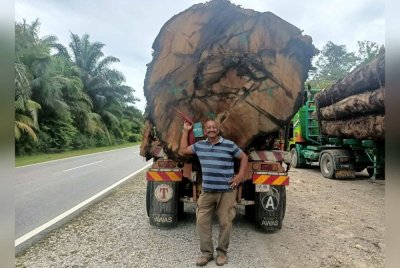 Ibrahim bersama lori balak dipandunya.