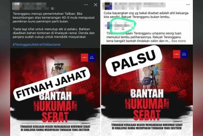 Antara tangkap layar kempen membantah hukuman sebat terhadap pesalah khalwat tular di media sosial sejak Selasa.