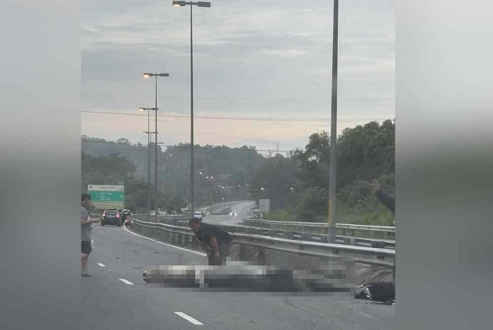 Bangkai buaya di atas lebuh raya dipercayai mati akibat dilanggar kenderaan. Foto Brunei FM