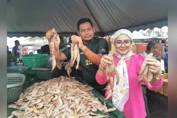 Nurul Izwani dan suami, Roszaimee menunjukkan udang ako saiz besar yang mendapat permintaan tinggi di jeti Kampung Nail, Kuala Besut, di sini baru-baru ini.