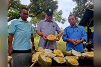 Mohamad (tengah) menunjukkan hasil durian yang ditanam di Taman Agroteknologi Mardi Kuala Kangsar sempena lawatan kerjanya pada Sabtu.