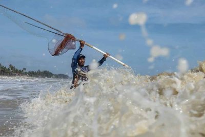 Nelayan di Kampung Pangkalan Baru Suhairan Mohamed, 42, mengharungi ombak besar yang membadai pesisir pantai untuk menyauk ikan belanak. Foto Bernama