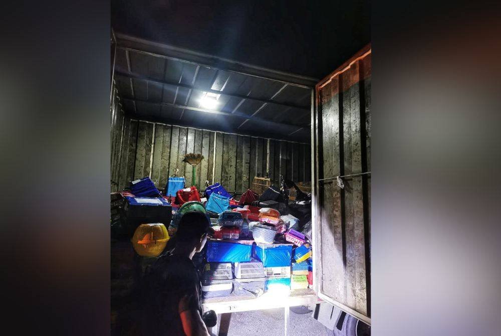 Pelbagai spesies unggas dan mamalia kecil yang dirampas hasil sekatan jalan raya di di KM7 Jalan Lipis-Benta pada Isnin. Foto ihsan PDRM