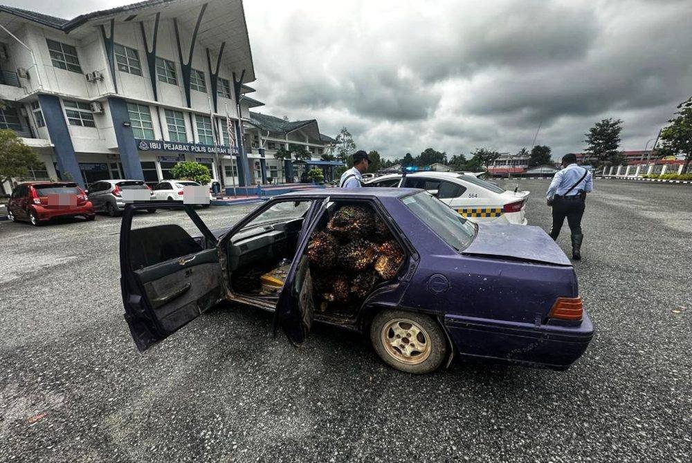 Polis menemui tandan buah kelapa sawit yang disumbat dalam kereta terbabit selain senjata tajam,peluru serta cecair disyaki air ketum.
Foto ihsan PDRM