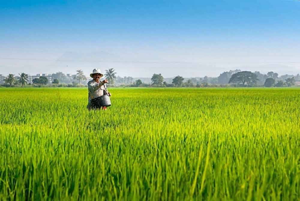 Peranan Nafas sebagai pembekal utama baja kepada petani di seluruh negara perlu dikekalkan. Foto hiasan