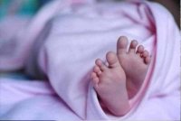 Berdasarkan laporan ibu mangsa, bayi berusia lapan bulan itu didapati mempunyai bekas gigitan pada bahagian belakang badan. Foto hiasan