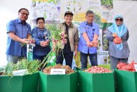 Mohamad (dua dari kanan) dan Muhamad Khairil (tengah) menunjukkan proses sebelum bawang itu dijual di pasaran.