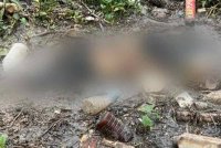 Mayat dipercayai seorang wanita dalam keadaan mereput dan masih lengkap berpakaian ditemukan di tebing Sungai Kedah di kawasan Alor Mengkudu dekat sini, semalam.