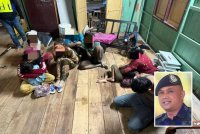 Seorang lelaki dipercayai tekong dicekup Batalion 7 PGA Kuantan selepas menyorokkan 10 PATI di dalam rumahnya di Kampung Chenerai, Alor Pasir, Pasir Mas pada Isnin. Foto PGA (Gambar kecil: Nik Ros Azhan)