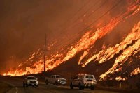 Angka kematian akibat kebakaran hutan yang dahsyat di kawasan Los Angeles meningkat kepada 29. Foto AFP