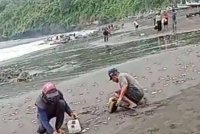 Penduduk setempat tidak melepaskan peluang mengutip ikan yang terdampar itu. - Foto Agensi