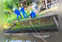 Anggota APM menggunakan tali untuk menangkap buaya tembaga yang dipercayai tersesat di parit besar di kawasan Taman Nuri Batu 7, Sandakan.