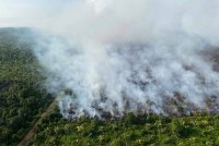 Pandangan udara kawasan ladang kelapa yang terbakar sejak 22 Februari lalu.