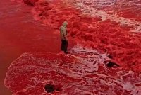 Seorang pengunjung melihat air pantai mula berubah seperti darah.